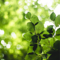 Group Profile Picture